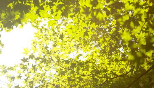 はじめまして！